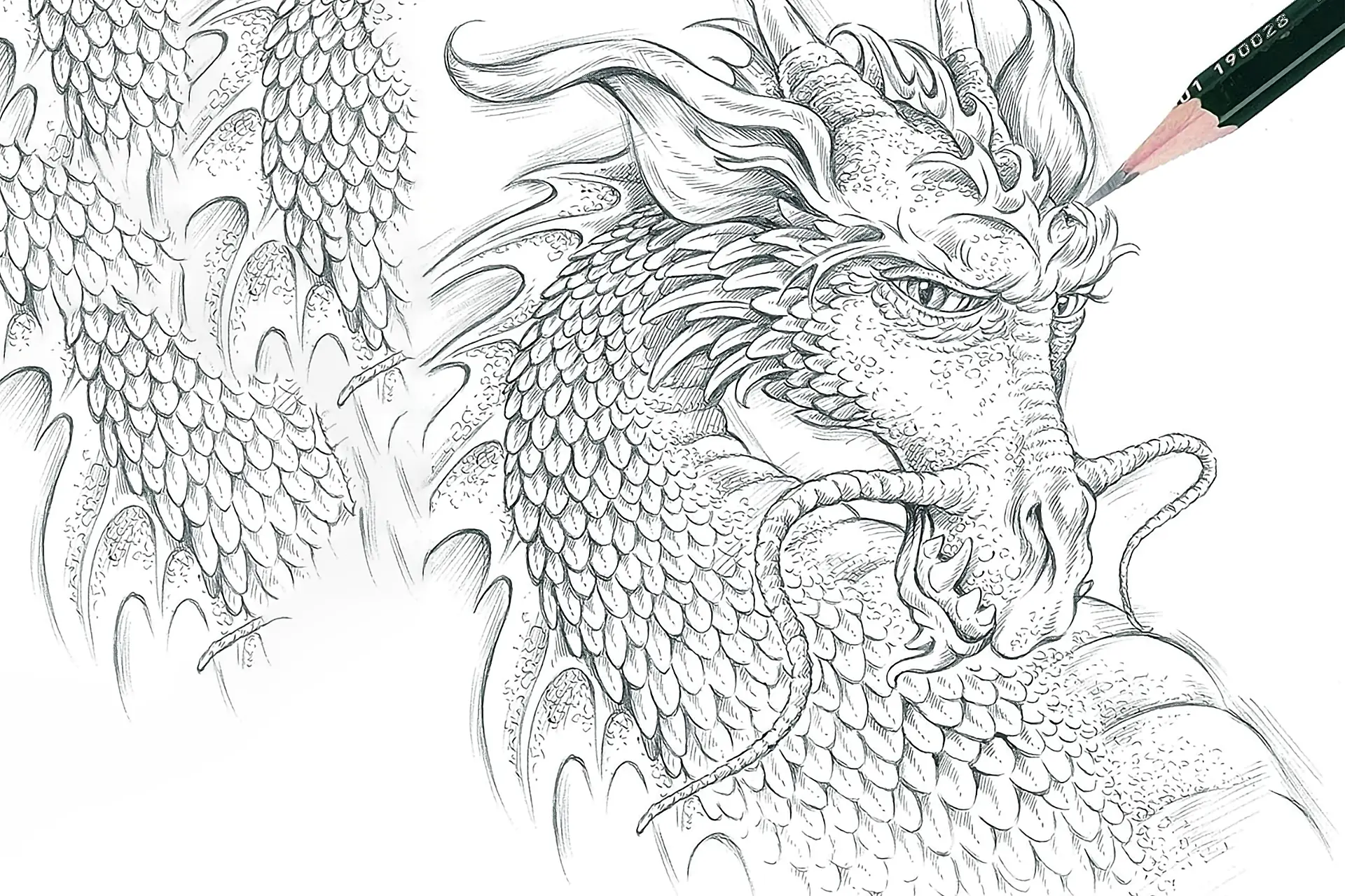 Dibujos de dragones