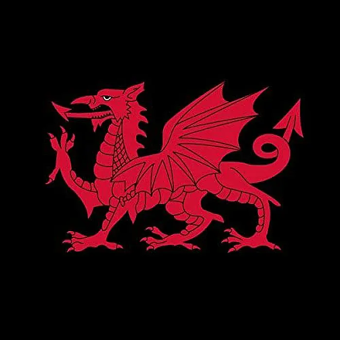 banderas de dragones tusdragones.com